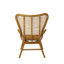 Padmini Upholstered Accent Chair