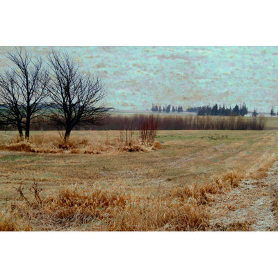 Fields I 1 Piece Wrapped Canvas Painting