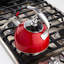 Viking 2.6-Quart Stainless Steel Kettle with 3-Ply Base-389157792