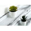 Cardentey 2 Piece Floating Shelf-512502169-512502171