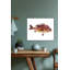Red Fish I By John Beard - Gallery Wrapped Canvas Print Print by John Beard-1851587504-1851587505
