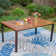 Alyah Rectangular 6 - Person 64" Long Dining Set with Cushions and Umbrella Hole