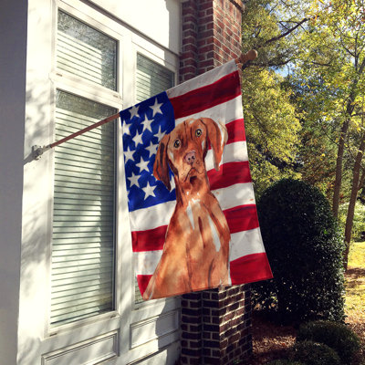 Shahnur Double Sided 40'' H x 28'' W Polyester Independence Day House Flag