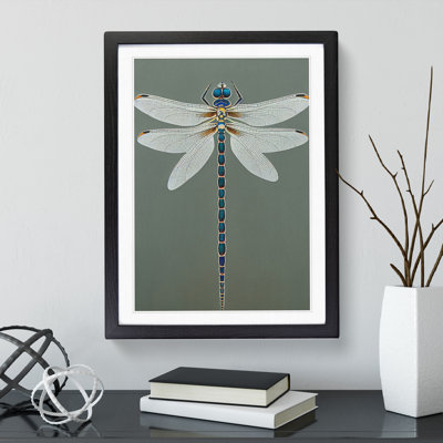 Breathtaking Dragonfly - Single Picture Frame Print
