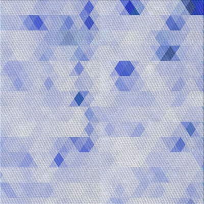 Indoor Rug