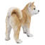 STATUE D'AKITA DEBOUT