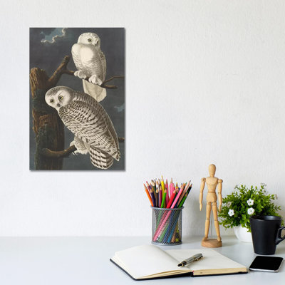 Snowy Owl, 1831 by John James Audubon - Wrapped Canvas Gallery-Wrapped Canvas Giclée