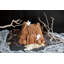 Nordic Ware Non-Stick Novelty Haunted Manor Bundt Cake Pan
