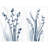 " Coral Luster 1&2 " 2 Piece Art X-Ray Photography and Graphic Art Print