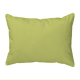 Two Turtles Indoor/Outdoor Throw Pillow