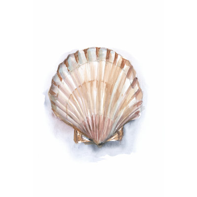 Pastel Shell Collection III by Ethan Harper - No Frame Print on Canvas