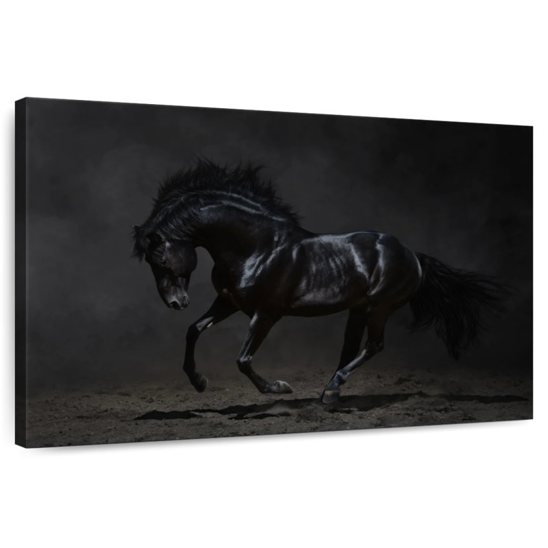 Brampt Dark Horse, 24" H x 36" W