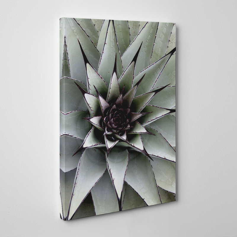 Wrapped Canvas Print, 50cm H x 35cm W