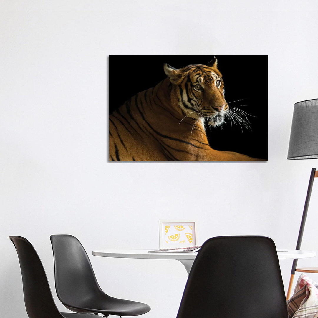 A Critically Endangered Female South China Tiger At The Suzhou Zoo In China von Joel Sartore - Gallery-Wrapped Canvas Gi...