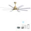 Ventilateur de plafond 66 pouces à profil bas en ABS avec lumières à intensité variable et moteur à courant continu réversible silencieux à 6 vitesses pour l'intérieur-335519474-335519472