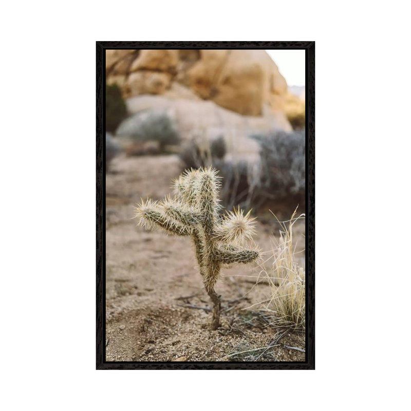 Joshua Tree National Park XVI by Bethany Young - Print on Canvas, 66.04cm H x 45.72cm W x 3.81cm D, Black Framed