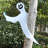 Halloween Decorative Accent