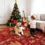 Washable Area Rug-134968558-134968564