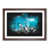 Walnut Framed