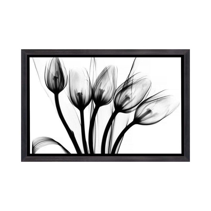 «Marching Tulips» par Albert Koetsier - impression d'art graphique, Toile avec cadre noir patiné, H 26 po x l 40 po x 1,5 po