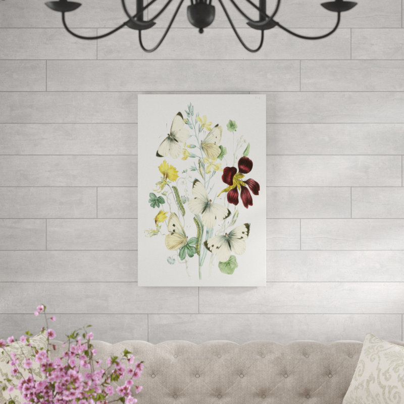 British Butterflies IV - Painting Print, 91cm H x 61cm W, Wrapped Canvas