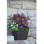 Pot de fleurs en résine Jibril-1534237204-1534237202