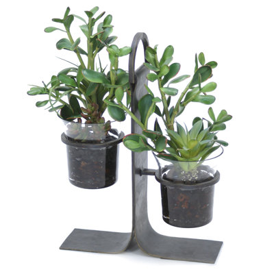 Ensemble de 2 plantes succulent artificielles en pot