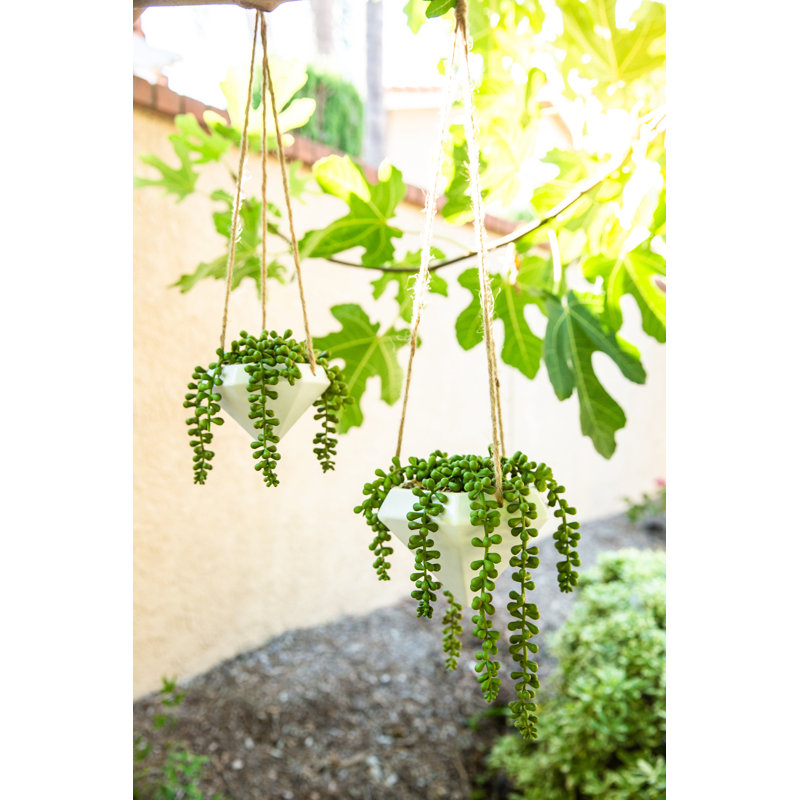 Hampson Ceramic Hanging Planter