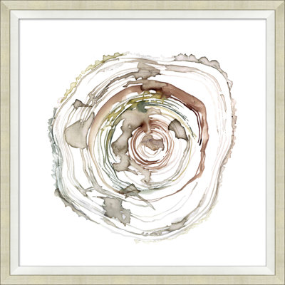 Tree Rings 1 Print