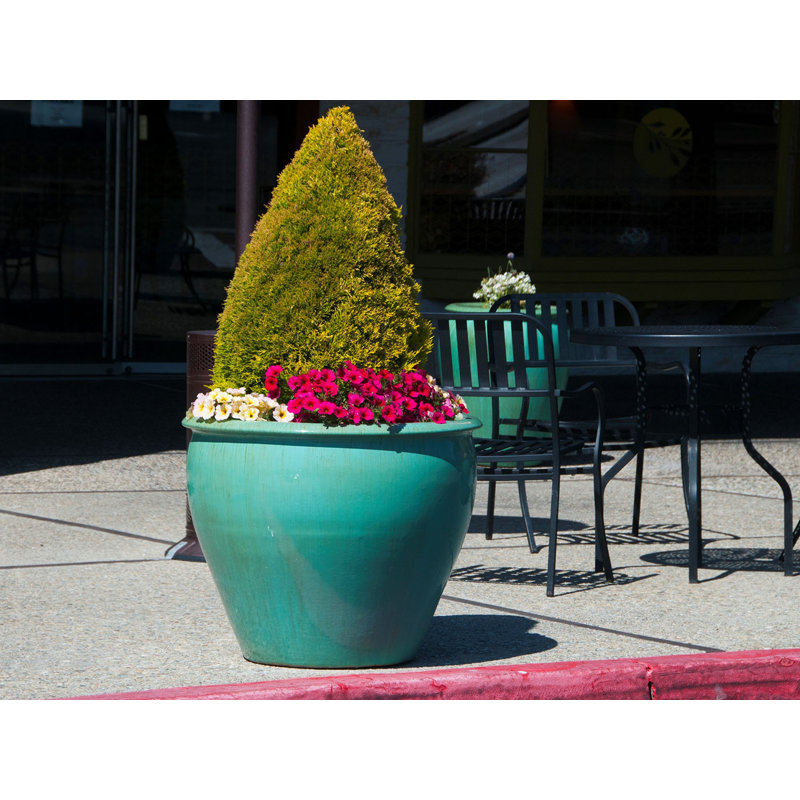 Pot de fleurs extra large en céramique émaillée, style aquarium - Intérieur/Extérieur, P 23,0 po x H 21,0 po