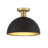 Darrah 1-Light Ceiling Light-1811460160