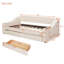 CanapÃ©-lit rembourrÃ© avec accoudoirs de rangement et port USB-1432700666