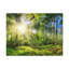 No Frame Print on Canvas-352178911