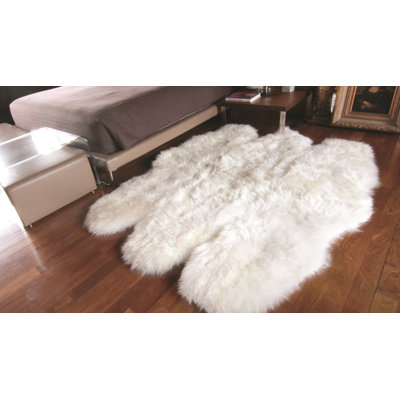 Novelty Colello Solid Color Handmade Sheepskin 5' x 6' Area Rug in Natural