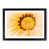 Black Single Picture Frame Wood
