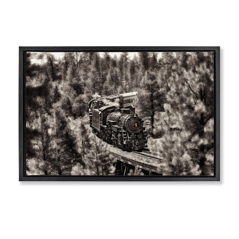 «Train on Curving Path», toile flottante encadrée dorée par David Drost, Cadre flottant noir de jais, H 21 po x l 31 po