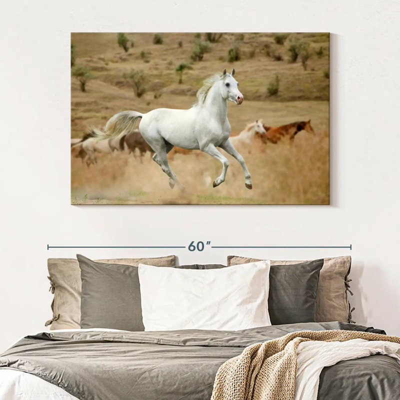 Prized White Stallion, 34" H x 51" W