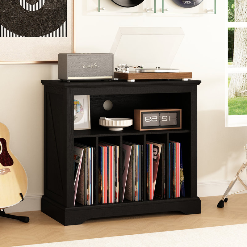 Support pour disque vinyle rustique, support pour disque vinyle jusqu'à 230 albums, Noir