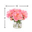 Peonies Arranged in Glass Vase-1080093595