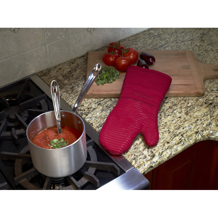 All-Clad Pewter Oven Mitt + Reviews