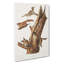 Flying Squirrels by J.W. Audubon - Wrapped Canvas-55363901