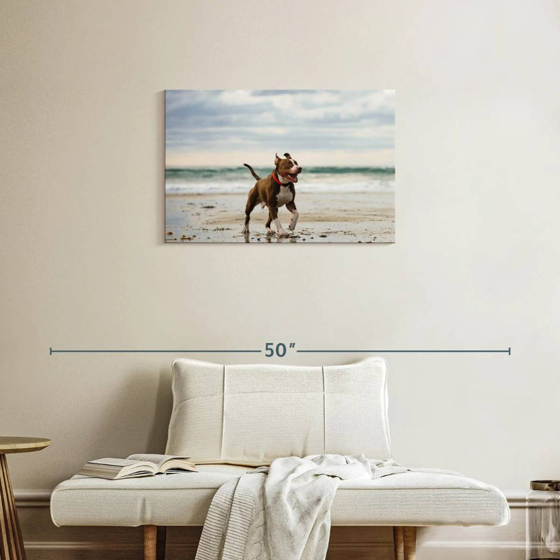 Brampt Pit Bull On Beach, 20" H x 30" W