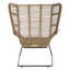 Fike Upholstered Accent Chair with Footstool