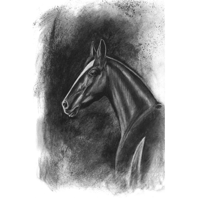 Portrait équestre gris anthracite II, H 30 po x l 20 po x P 1,25 po