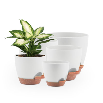 5 pots de plantes à arrosage blancs de 5 à 7 pouces