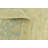 Olson Beige Rug