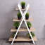 Support pour plante Encinitas