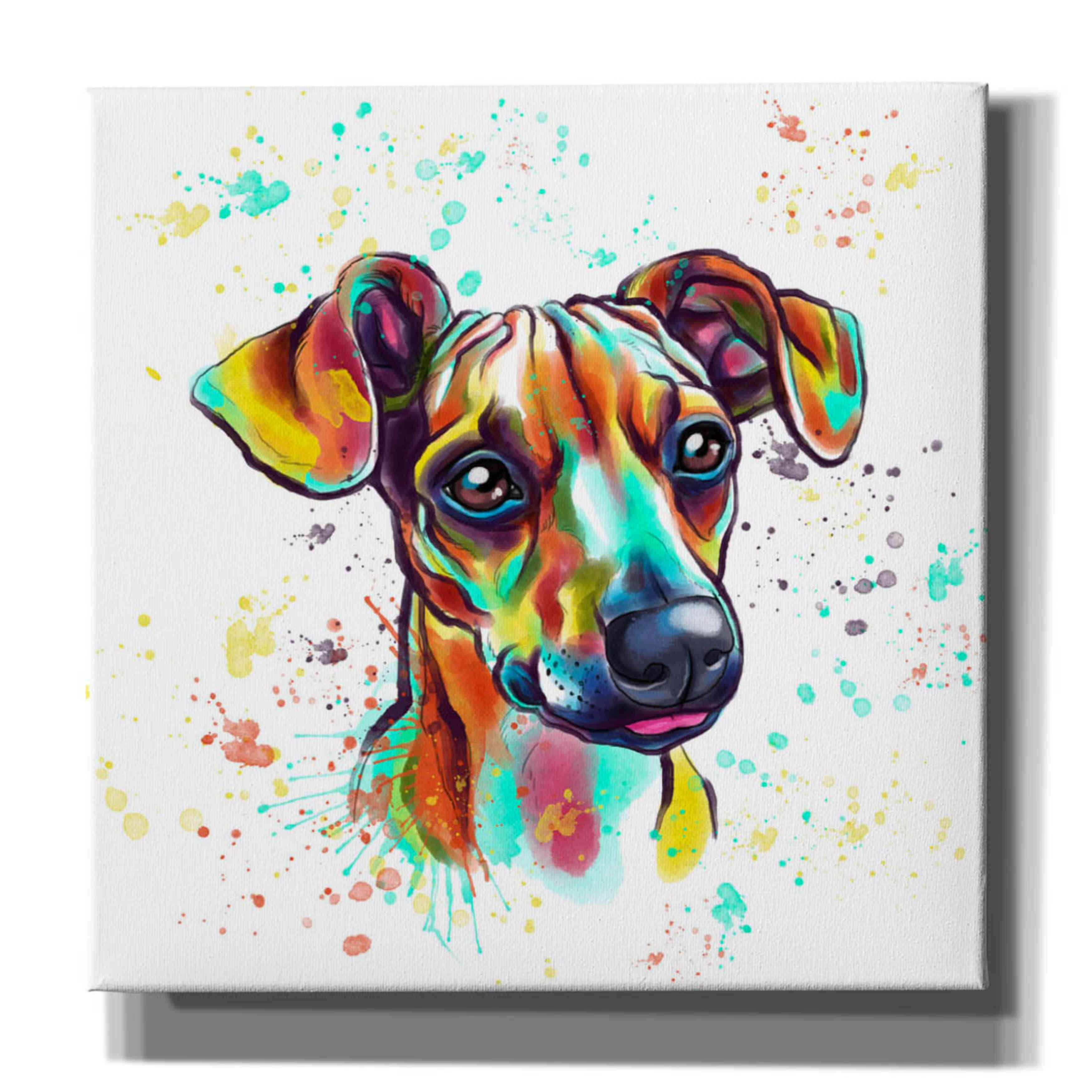 Colorful dachshunds sales