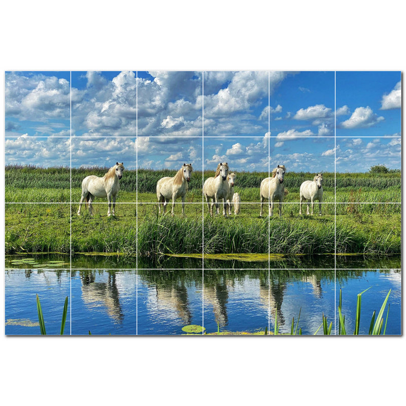 Photo de cheval 12 x 12