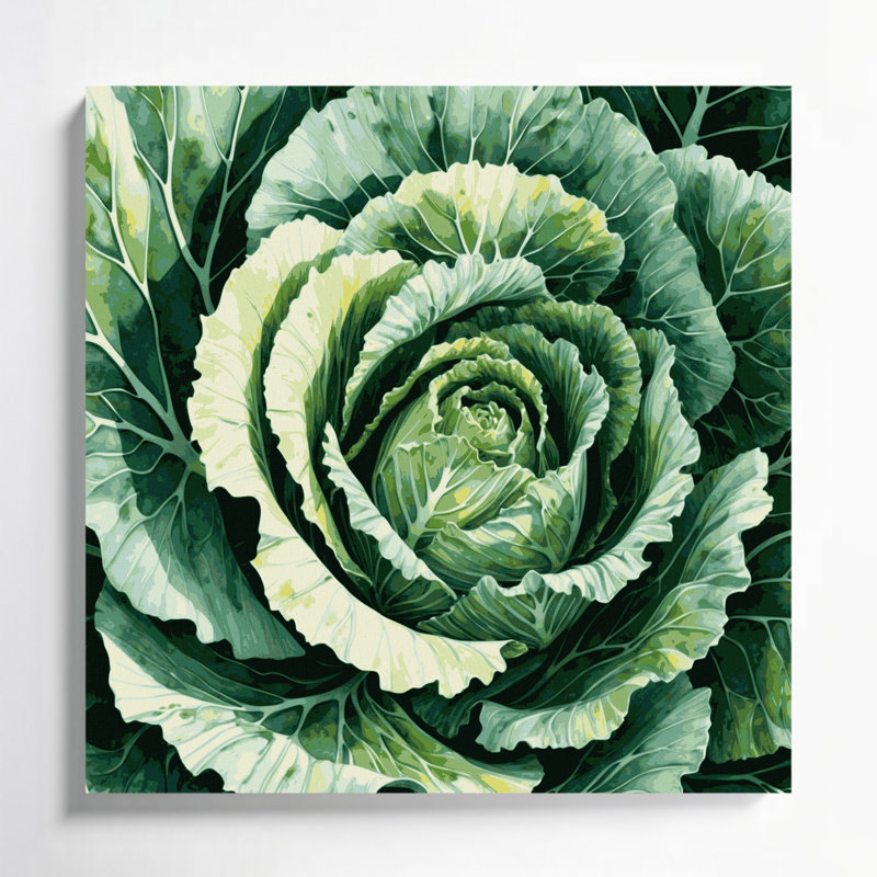 Légumes, chou vert, art mural sur toile, H 16 po x l 16 po